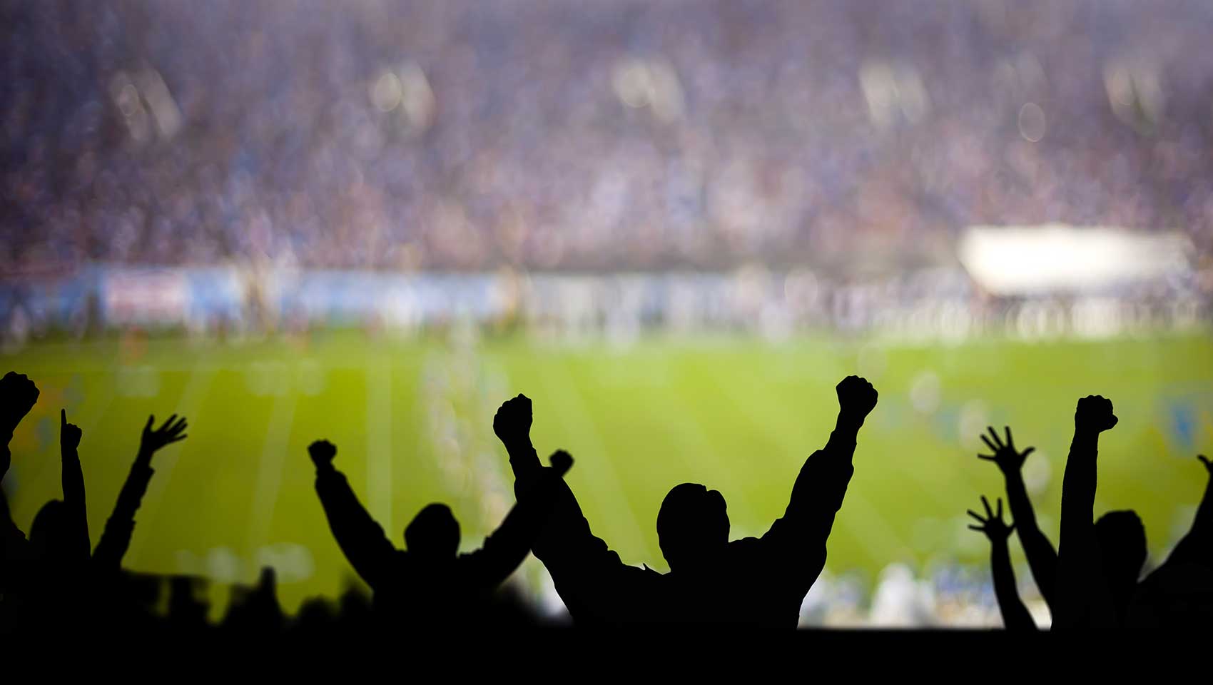 Cheering Sports Crowd