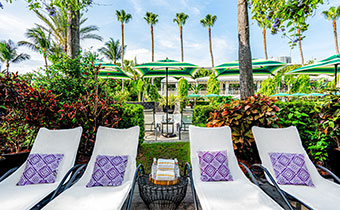 Deck chairs outside of trumpet cabana at Kimpton Surfcomber Hotel